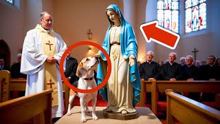 A Dog Interrupts Mass Barking at Mary’s Statue… When He Stops Something Unbelievable Happens [upl. by Bianchi]