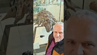 AMNH Part 2 Ornithischians 🦕🦖The Lost World of the Dinosaurs books booktok dinosaur dinosaurs [upl. by Delp]