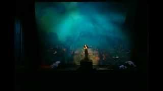 Sarah Brightman Who Wants to Live Forevermp4 [upl. by Enelra581]