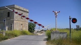 Spoorwegovergang Copertino I  Railroad crossing  Passaggio a livello [upl. by Sutherlan545]