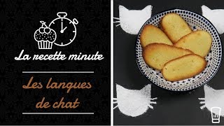 🍰 BISCUITS LANGUE DE CHAT 🍰 [upl. by Lisab]