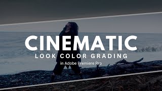 Cinematic Look Color Grading in Premiere Pro [upl. by Eilyw]