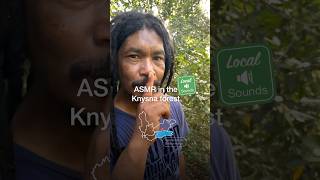 Zone out of real life and into the forest with an ASMR experience of the luscious Knysna forest🌲🌿 [upl. by Hollington]