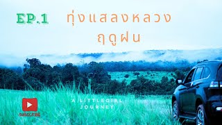 EP1 Green season ที่ทุ่งแสลงหลวง [upl. by Itirp94]