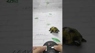 remote control 🐢 shorts toys childrenstoys [upl. by Airdnaxila330]