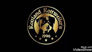 ROTTLAND KENNEL in Brazil [upl. by Releyks666]