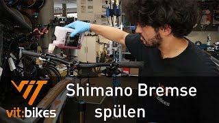 Shimano Bremse entlüften Teil 1  Spülen  vitbikesTV 193 [upl. by Fawcett]