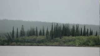 Speedboat through the mackenzie delta forest [upl. by Nimrahc984]