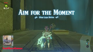 Shae Loya Shrine Walkthrough  The Legend of Zelda Breath of the Wild [upl. by Eda]