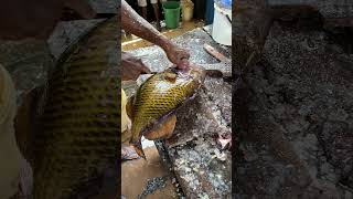 Amazing fish market fish fishing fishcutting [upl. by Lema904]