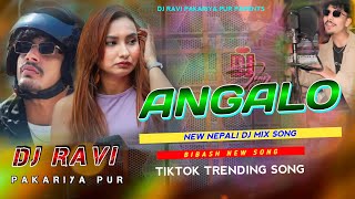 Tiktok Trending 2024  Jindagi Ko Dukha Sukha Aadha Badhnu Xa  ANGALO  Dj Ravi Pakariya Pur [upl. by Henryson]