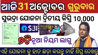 todays morning news odisha  31 October 2024  Subhadra online registration  odisha news today [upl. by Reeva749]