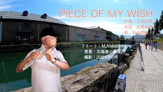 フルート演奏 PIECE OF MY WISH 歌今井美樹 小樽運河 5月 クルーズ寄港地 小樽 吹いてみた [upl. by Amaj]