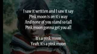 Nick Drake  Pink Moon Lyrics [upl. by Otrevlig]