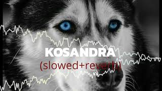 Kosandra slowedreverbed song attitude carsongs slowedandreverb [upl. by Imij]