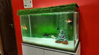 Goldfish Kingdom Aquarium Setup  Oranda and Ranchu Goldfish tank with Green Grass Background [upl. by Yatnahs]