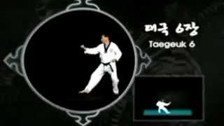 KUKKIWON Taegeuk Poomsae 6 Yuk Jang [upl. by Eelhsa]