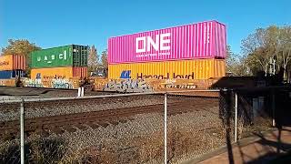 Southbound NS Intermodal train [upl. by Eisele]