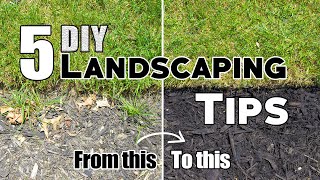 5 Cheap amp Easy DIY Landscaping Tips amp Ideas Plus Bonus Tips 🌱 [upl. by Pearson]