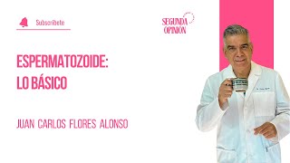 Espermatozoide lo básico  Juan Carlos Flores Alonso [upl. by Ettenig]