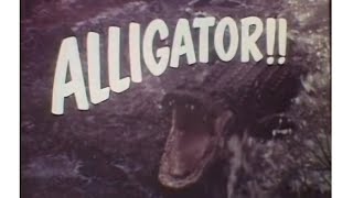 Watch Alligator 1970 historyfacts florida learn watch 1970s [upl. by Ribal194]