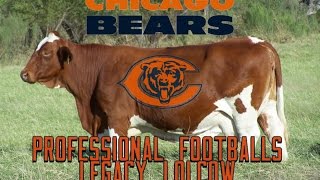 The Chicago Bears Professional Footballs Legacy Lolcow [upl. by Arun]