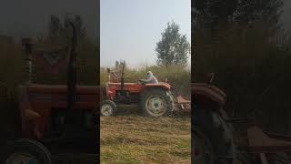 quotTractorPowered Mulching Regenerative Farming Innovation SustainableFarming OrganicMulch [upl. by Paviour]