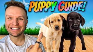 Puppy TRAINING  The FIRST 5 Things To Teach Any Puppy [upl. by Cirad]