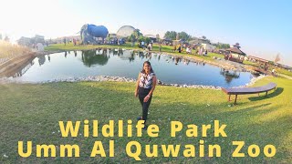 The Zoo Wildlife Park Kabir  Umm Al Quwain Zoo [upl. by Ahkeber]