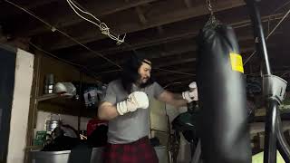 12oz gloves 90lb bag boxing work out at home [upl. by Nolahs]