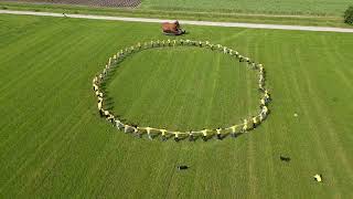 Gezamenlijke start Eeuwfeest 100 jaar biodynamische landbouw [upl. by Wynnie201]