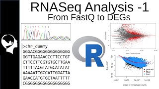 RNASeq Analysis  Differential Expressed Genes DEGs from FastQ [upl. by Fokos352]