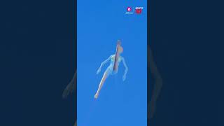 Artistic Swimming in Olympics 2024 shorts olympicsonjiocinema cheer4bharat zeeswitch [upl. by Ardnuek]