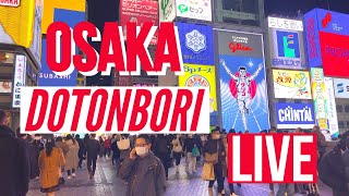 Downtown Osaka Dotonbori Live Osaka Japan [upl. by Kally]