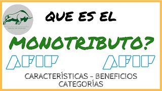 ✔️ Que es el MONOTRIBUTO Principales Características CATEGORÍAS Beneficios [upl. by Hakkeber58]