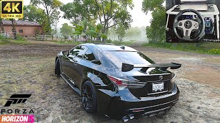 Lexus Rc Track Edition  Forza Horizon 5  Steering Wheel Gameplay [upl. by Hsaniva]