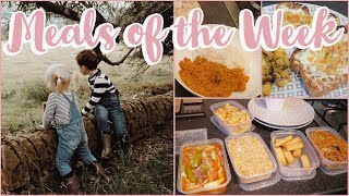 WHATS FOR DINNER  FAMILY MEALS OF THE WEEK  FAMILY FOOD  WHATS FOR TEA  MEAL IDEAS 14 [upl. by Hoon891]