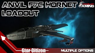 Star Citizen Anvil Hornet F7C Ship Loadout  Multiple Builds [upl. by Sandye]