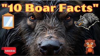 Wild Boars Uncovered 10 Facts Thatll Blow Your Mind [upl. by Mcginnis]