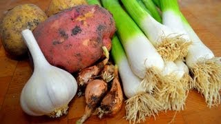 Potato Leek Soup from Garden Fresh Vegetables [upl. by Treborsemaj790]