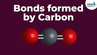 Covalent bonding in a carbon dioxide molecule [upl. by Nikolia]