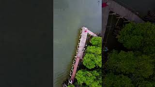 Ekowisata Bale Mangrove videoshortsviral videodrone tempatwisata lombok ntb [upl. by Mannes]