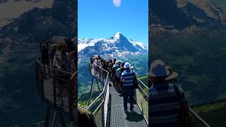 Explore Grindelwald🇨🇭 Switzerland Beauty  Grindelwald Cliff walk switzerlandwonderland nature [upl. by Anehta239]