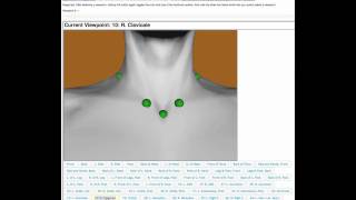 AnthoGloss X3DOM with jQuery anthropometry educational webgl web3d tool [upl. by Bowyer]