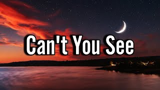 Cant You See  Official Music   Full English Song with Lyrics [upl. by Sinnod548]