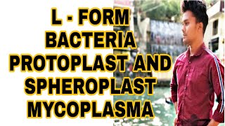 L form bacteria Protoplastspheroplastmycoplasmadifference between L form and mycoplasma [upl. by Nissensohn]