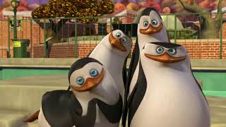 DreamWorks PENGUINS OF MADAGASCAR  Official Teaser Trailer  INDONESIA [upl. by Philcox]