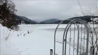 Lake Titisee Travel A trip to Black Forest Germany in the Winter [upl. by Anirod]