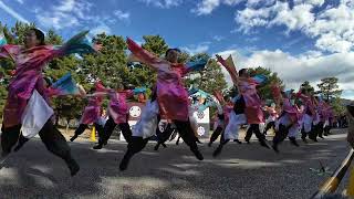 21 佛教大学よさこいサークル紫踊屋 龍馬よさこい2024［４Ｋ］岡崎公園 wide [upl. by Azzil]