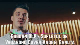 Bogdan DLP  Sufletul de Vagabond Cover Andrei Banuta Audio [upl. by Analem]